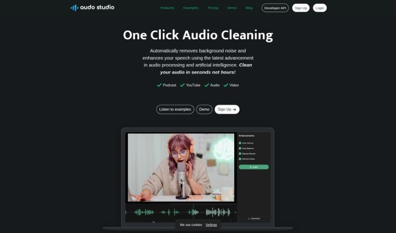 Screenshot of Audo Studio