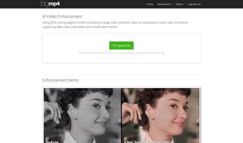 Screenshot of Bigmp4