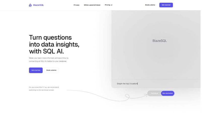 Screenshot of BlazeSQL