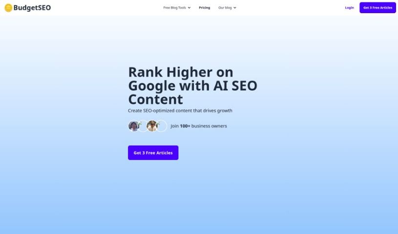 Screenshot of Budgetseo