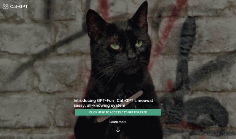 Screenshot of Cat-GPT