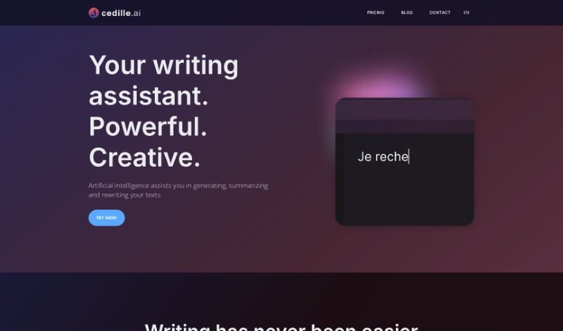 Screenshot of Cedille.ai