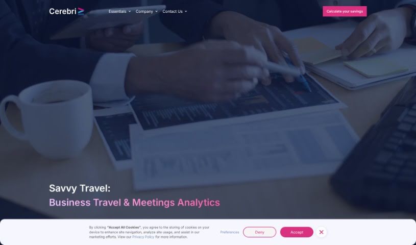 Screenshot of Cerebri AI