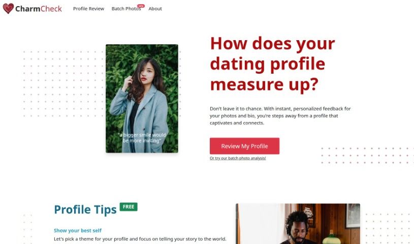 Screenshot of Charm Check