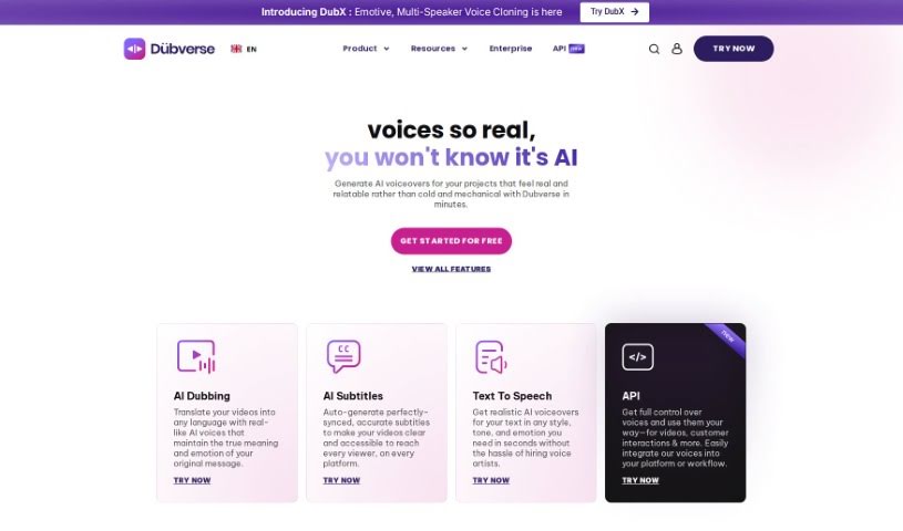 Screenshot of Dubverse.ai