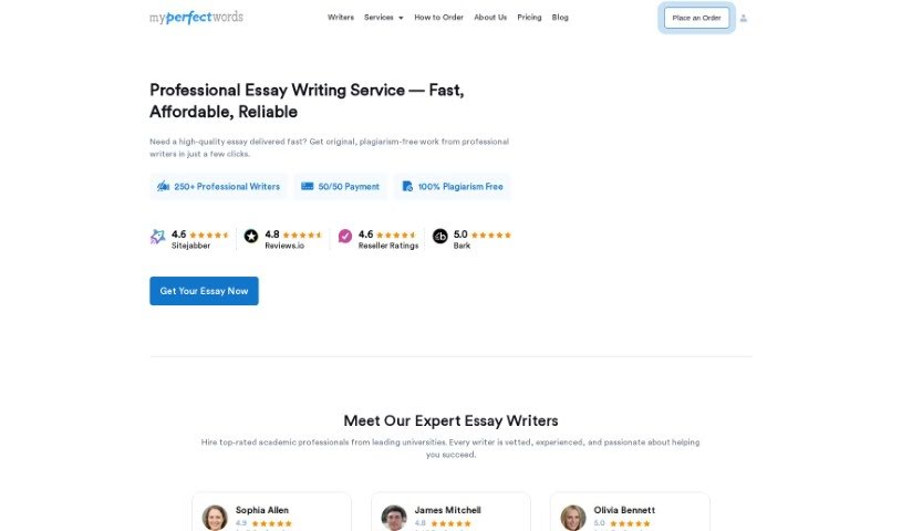 Screenshot of Essaybot