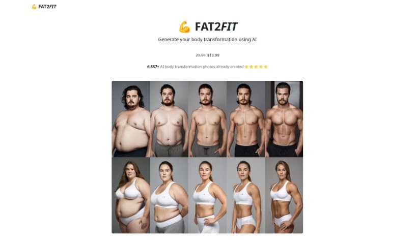Screenshot of Fat2Fit