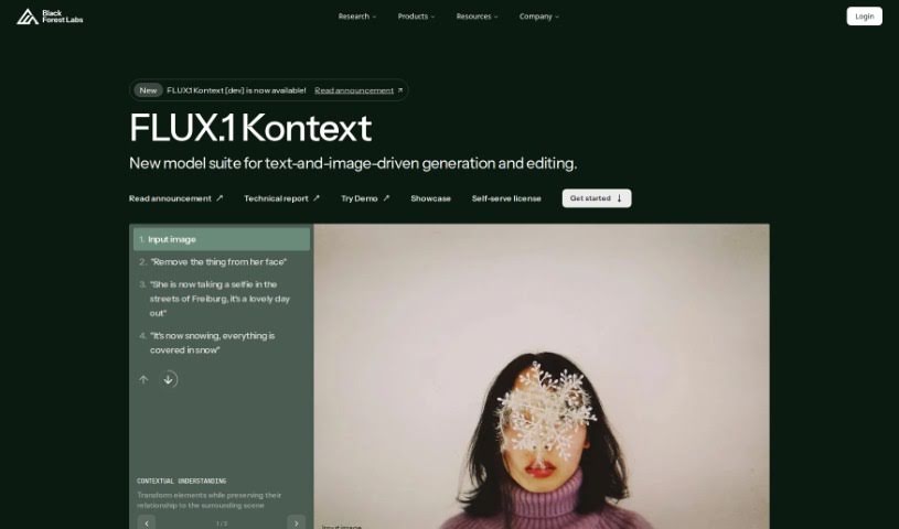 Screenshot of FLUX.1