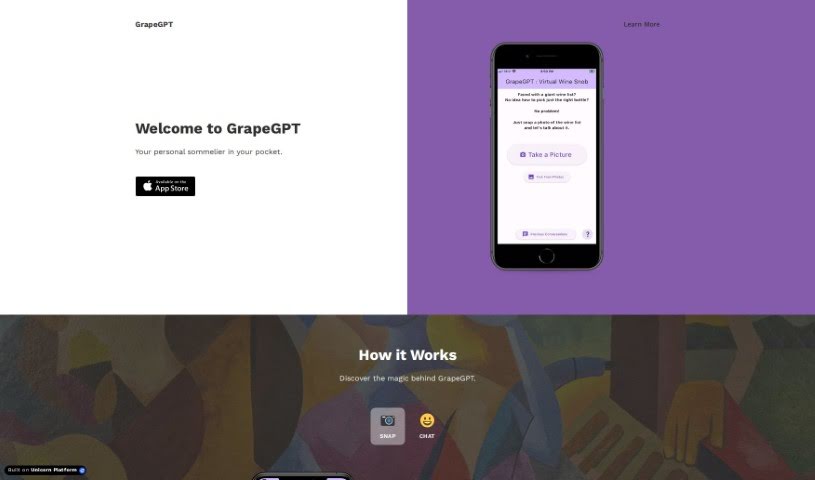 Screenshot of GrapeGPT