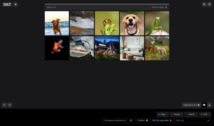 Screenshot of Imagesorter