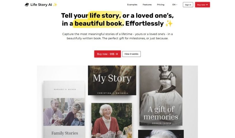 Screenshot of Life Story AI