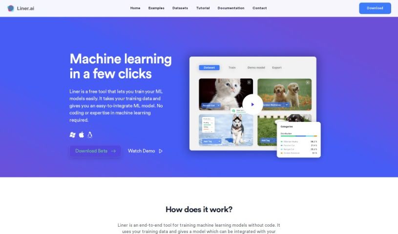 Screenshot of Liner.ai