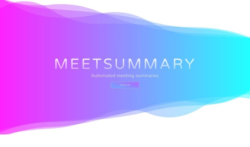 Screenshot of Meet Summary
