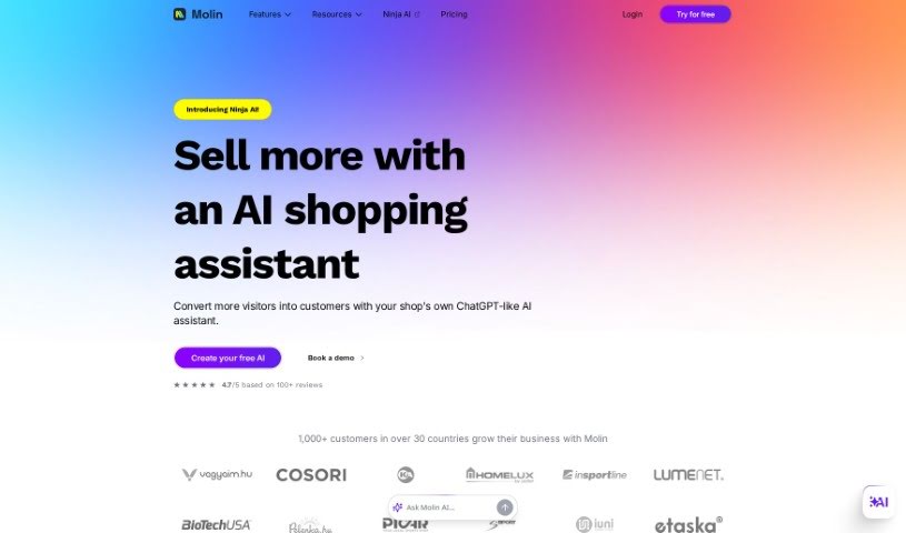Screenshot of Molin AI