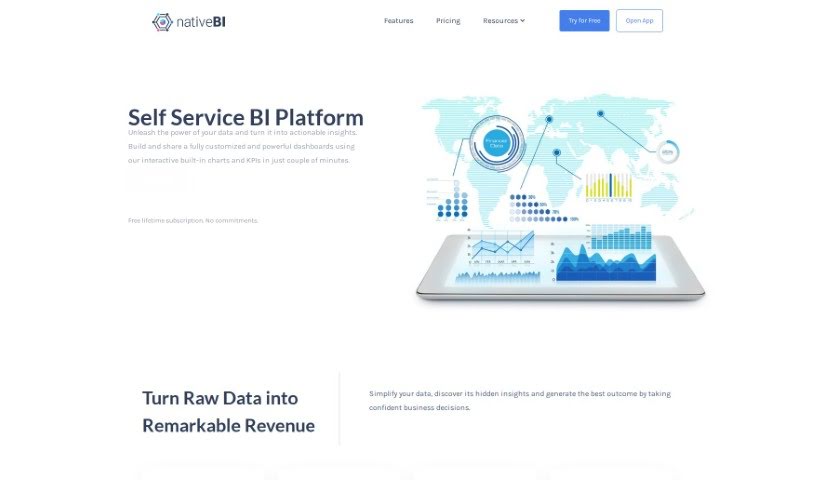 Screenshot of NativeBI