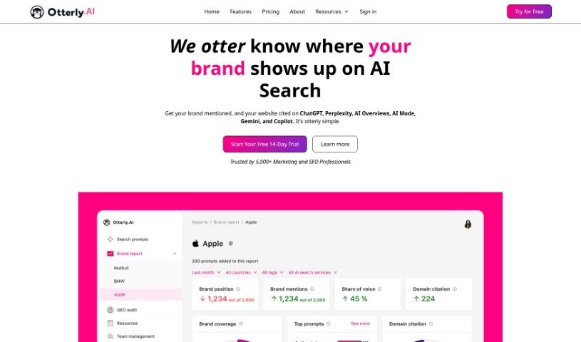 Screenshot of Otterly