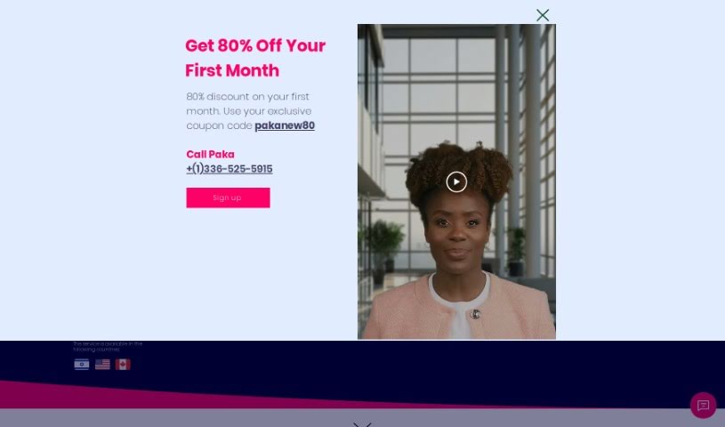 Screenshot of Paka AI