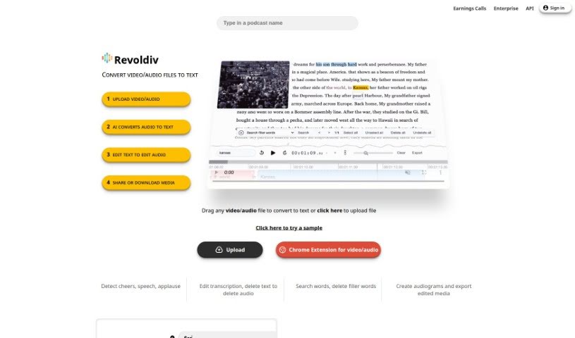 Screenshot of Revoldiv