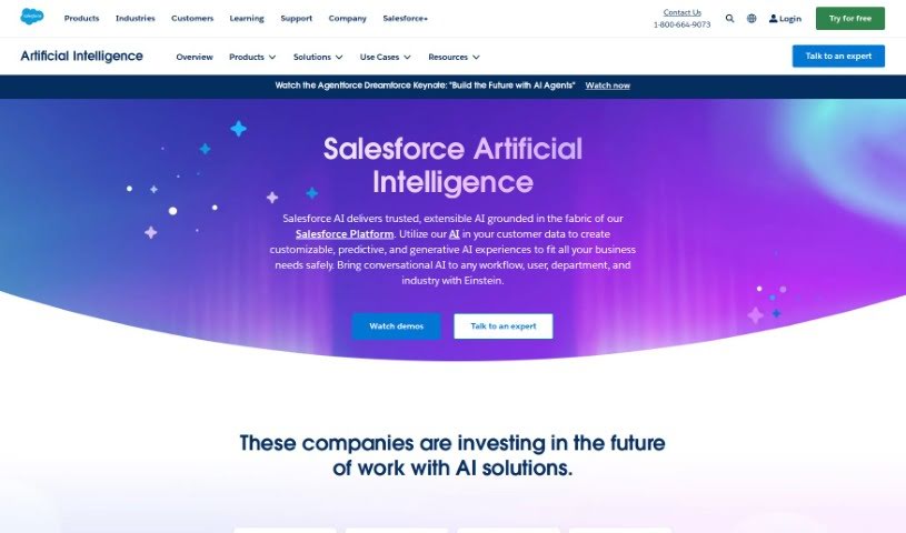 Screenshot of Salesforce Einstein