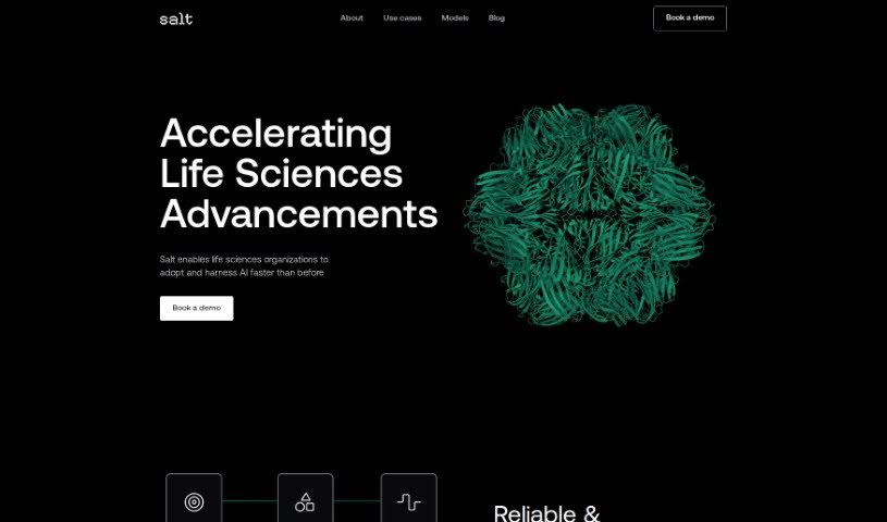 Screenshot of Salt AI