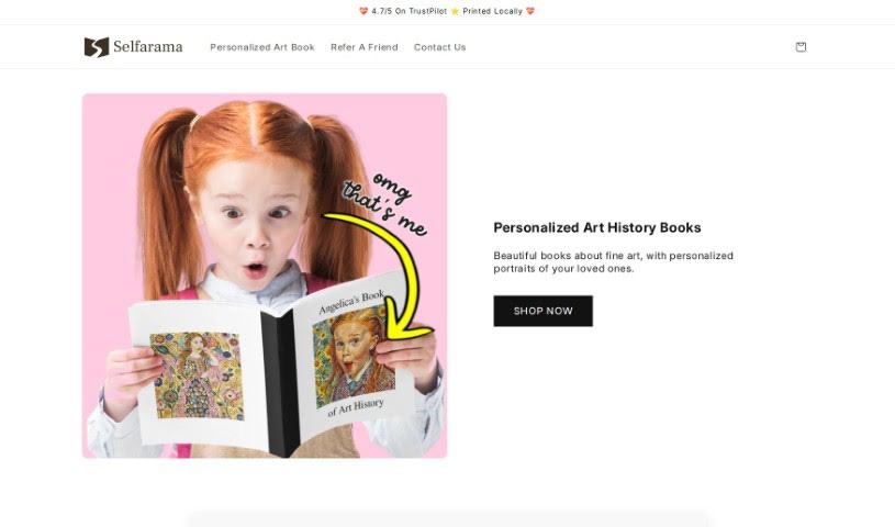 Screenshot of Selfarama