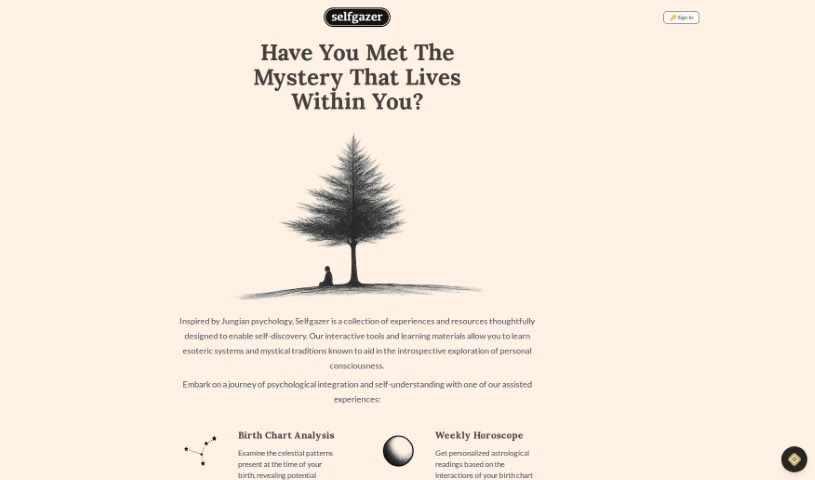 Screenshot of Selfgazer