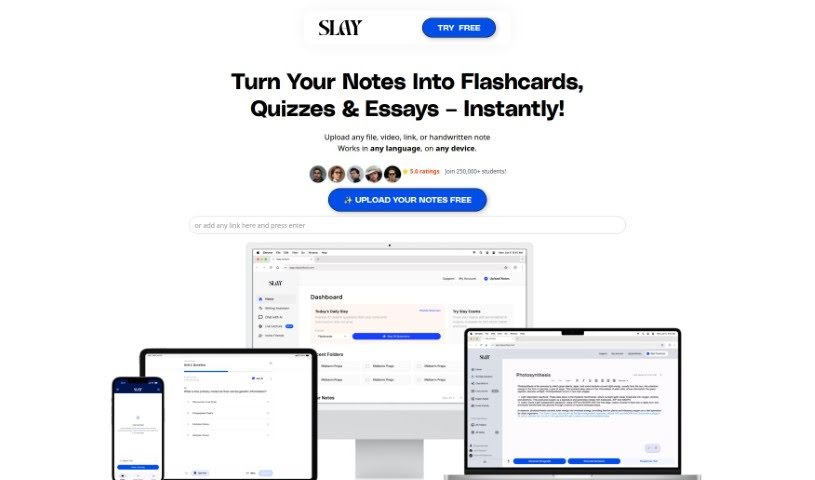 Screenshot of Slay School