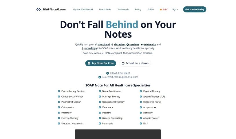 Screenshot of SOAP Note AI
