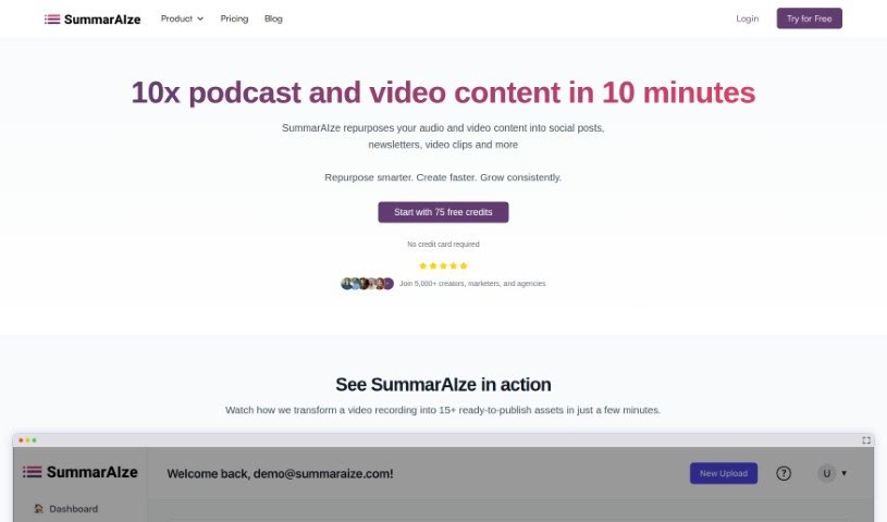Screenshot of SummarAIze