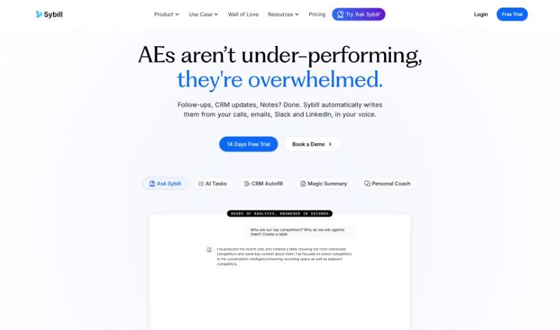 Screenshot of Sybill