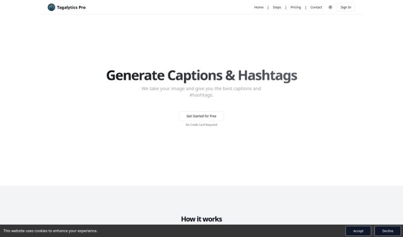 Screenshot of Tagalytics Pro