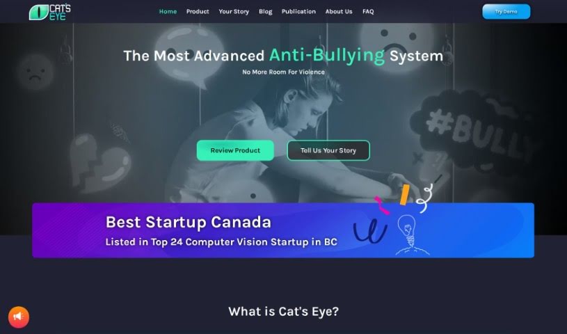 Screenshot of The Cat's Eye Smart Systems