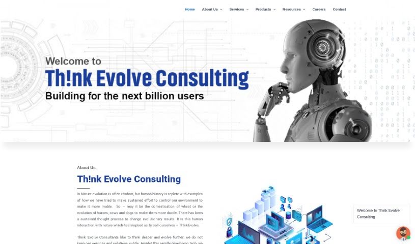 Screenshot of Think Evolve Consultancy
