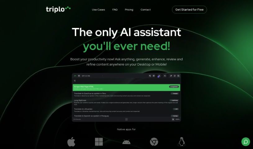 Screenshot of Triplo AI