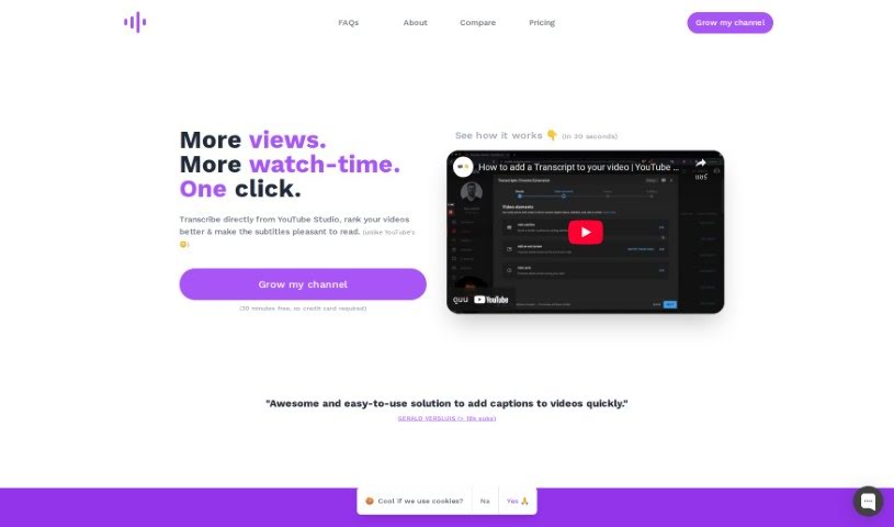 Screenshot of Tube Transcripts