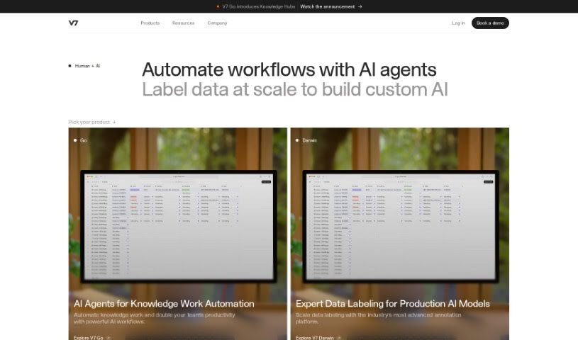 Screenshot of V7Labs