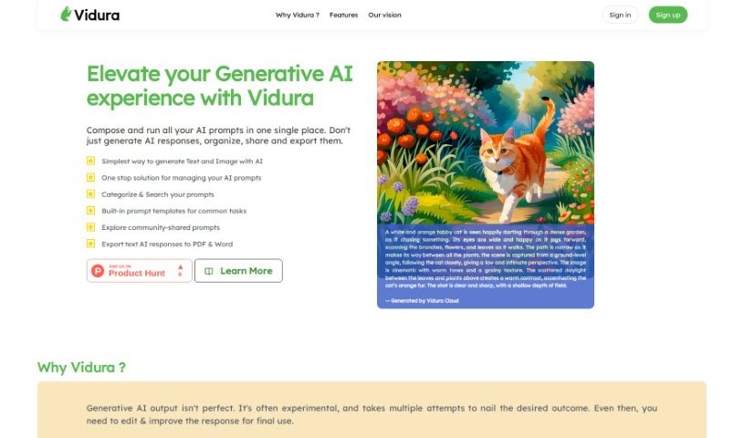 Screenshot of Vidura