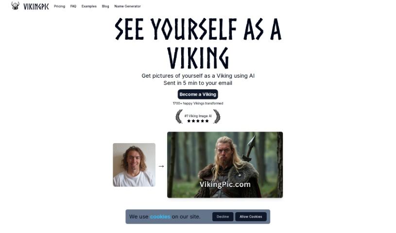 Screenshot of Vikingpic
