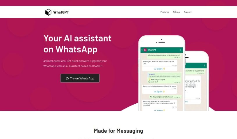 Screenshot of Whatgpt