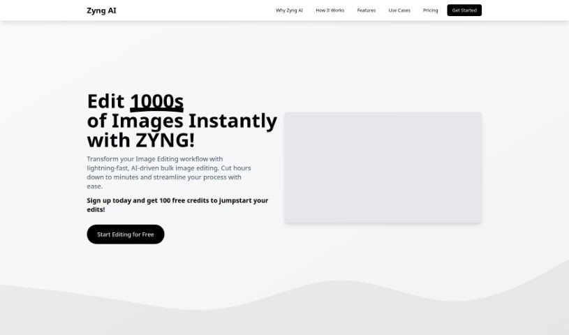 Screenshot of Zyng AI